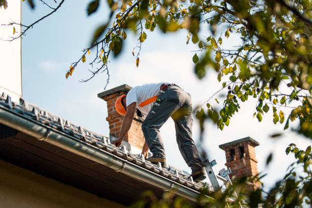 Fast & Reliable Emergency Roof Repairs in Flushing, MI