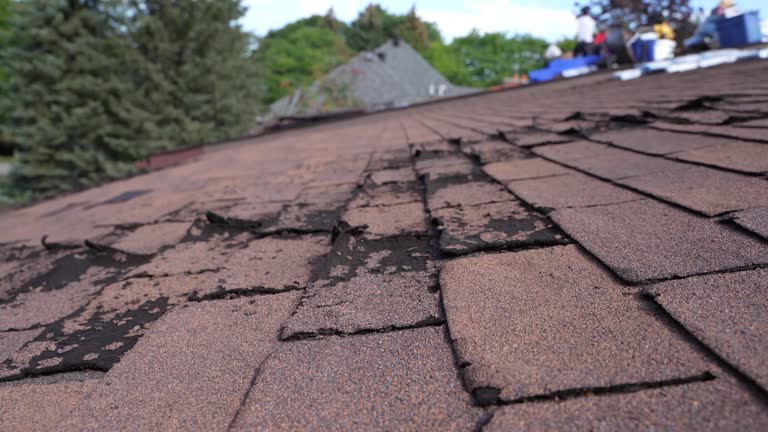 Best Metal Roofing Installation  in Flushing, MI